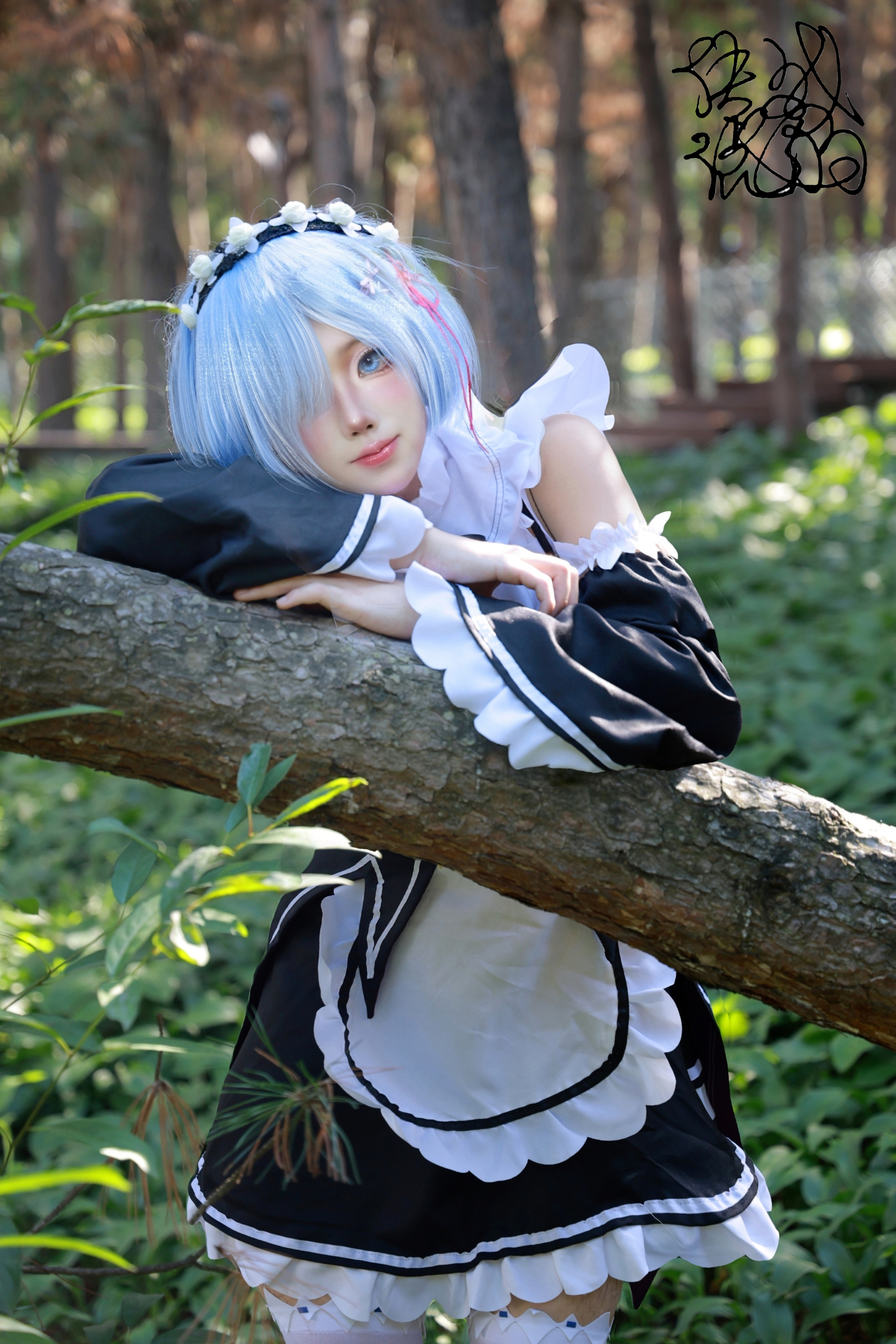 rem_12